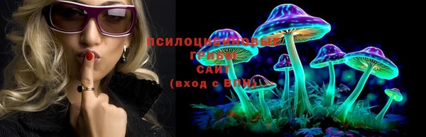 PSILOCYBIN Богданович